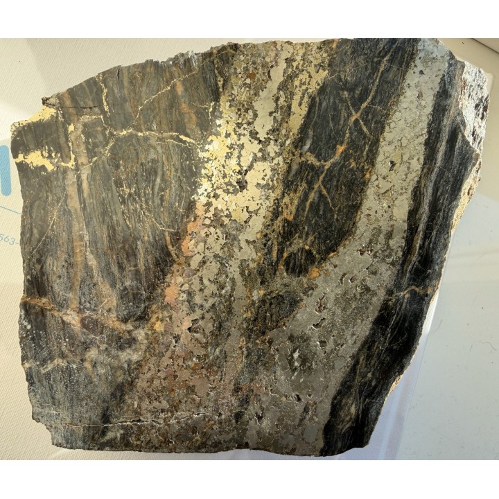 Piękny okaz żył rudnych w łupkach radzimowickich z Radzimowic