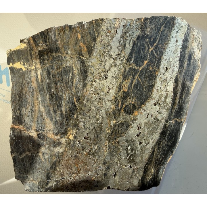 Piękny okaz żył rudnych w łupkach radzimowickich z Radzimowic