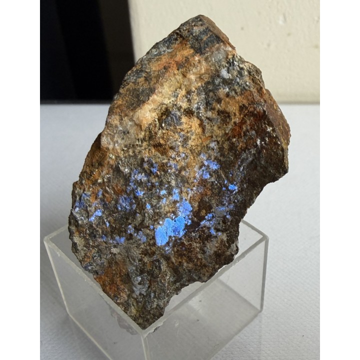 Obfity scheelit w rudzie chalkopirytowo-arsenopirytowej z Radzimowic