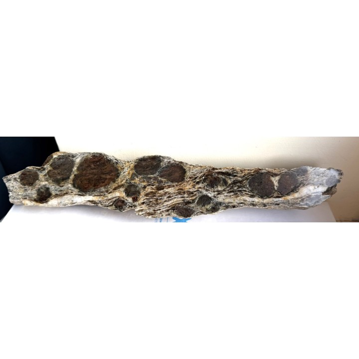 Wielkie granaty z Kamieńca Ząbkowickiego