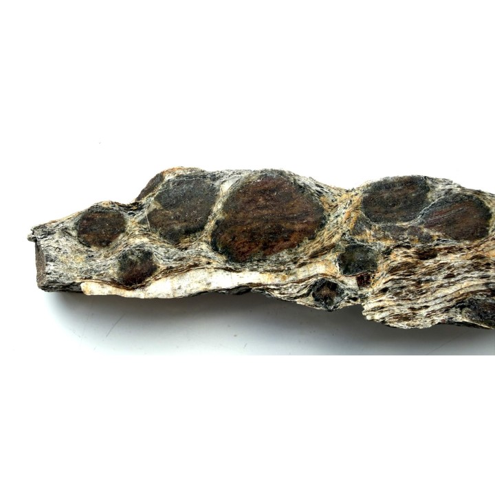 Wielkie granaty z Kamieńca Ząbkowickiego