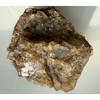 Sól bitumiczna z Kłodawy