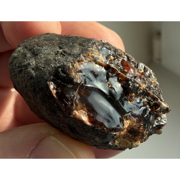 Bursztyn z Golling (Austria)