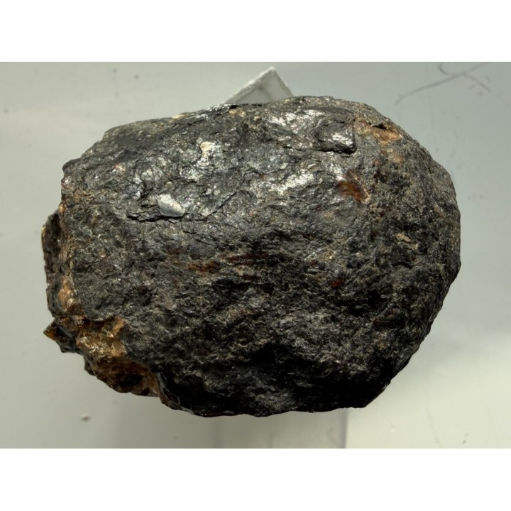 Bursztyn z Golling (Austria)