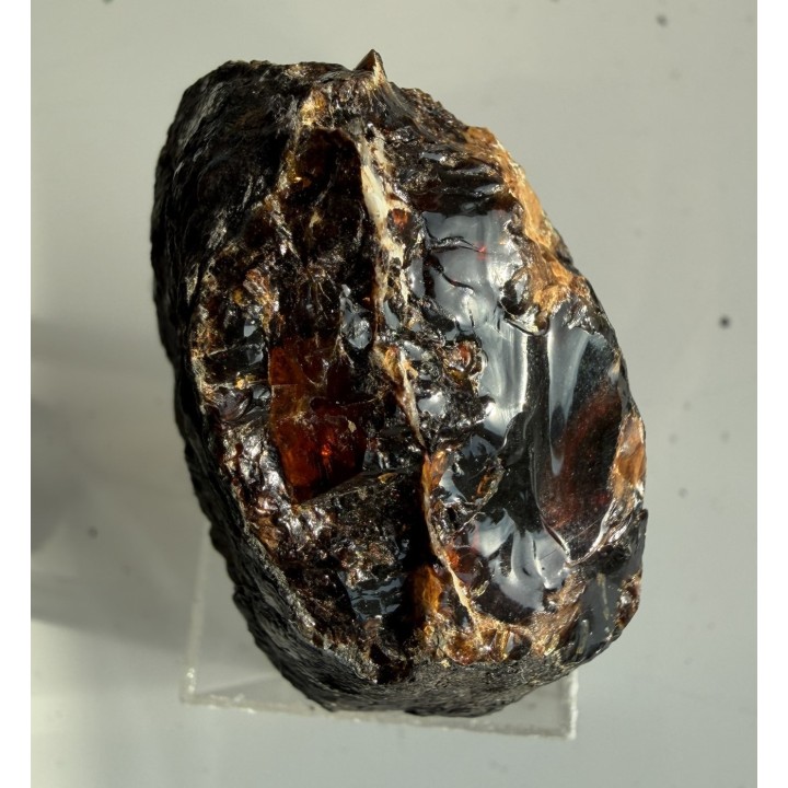 Bursztyn z Golling (Austria)