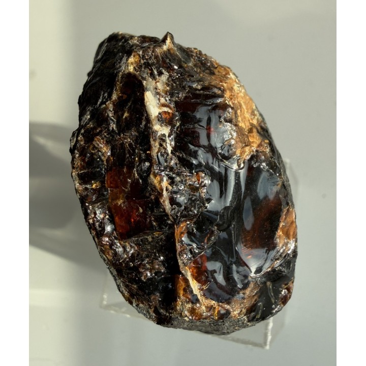 Bursztyn z Golling (Austria)