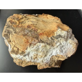 Hydrocynkit z Bytomia, kop. Orzeł Biały