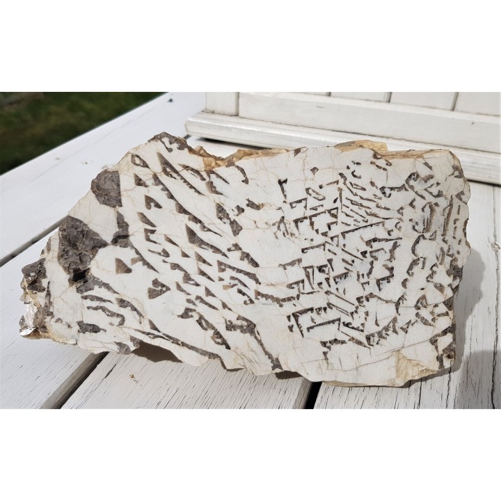 Muzealny okaz kamienia hebrajskiego