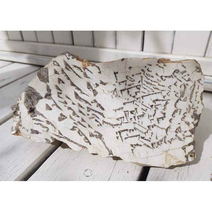 Muzealny okaz kamienia hebrajskiego