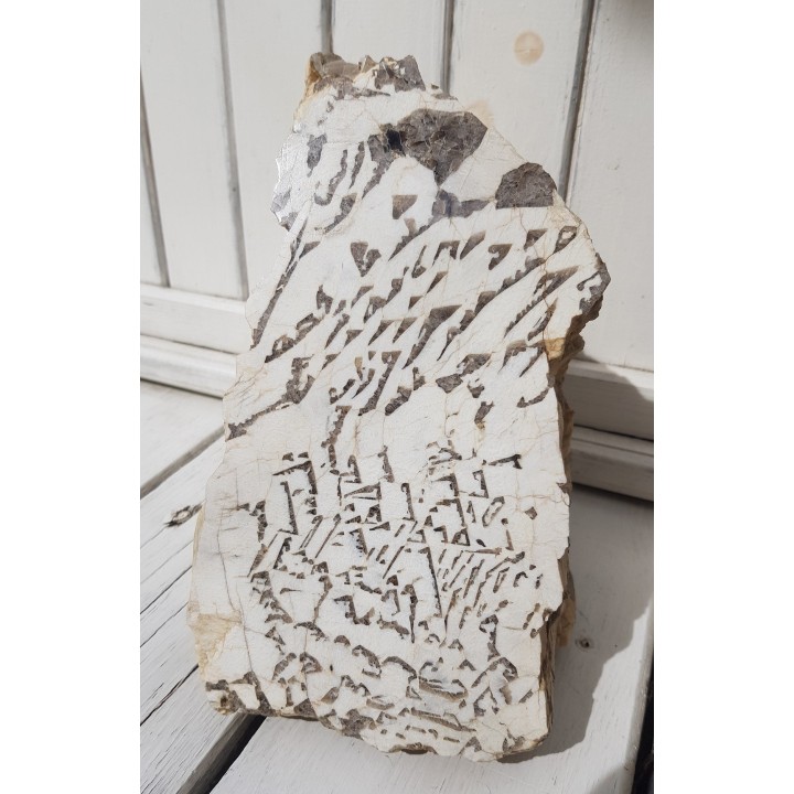 Muzealny okaz kamienia hebrajskiego