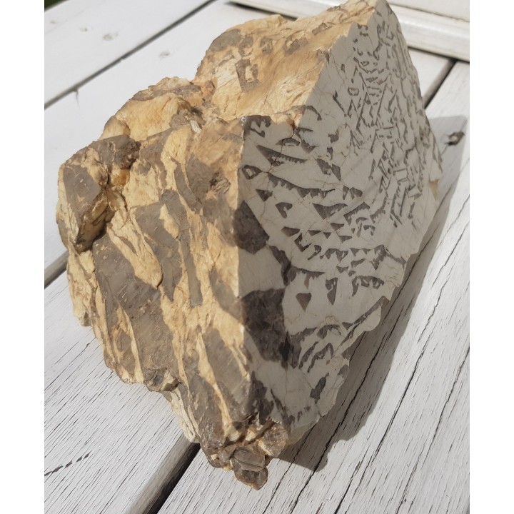 Muzealny okaz kamienia hebrajskiego