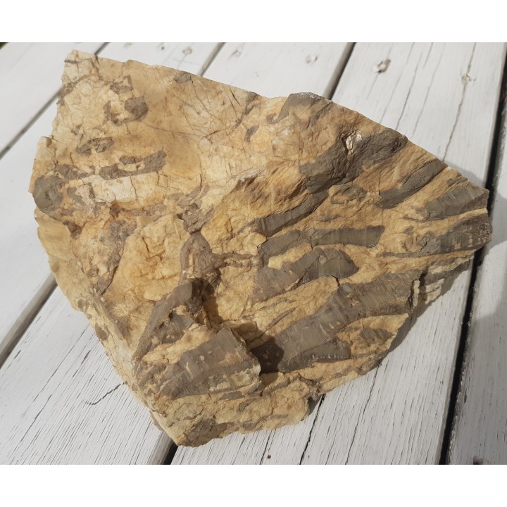 Muzealny okaz kamienia hebrajskiego