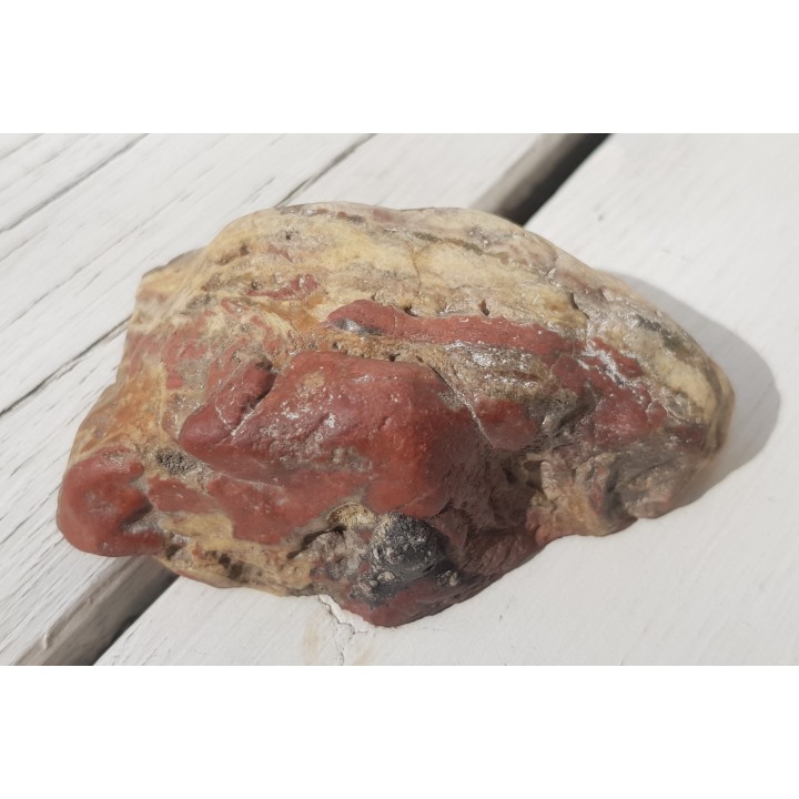 Żyła z jaspisem z aluwiów Bystrzycy k. Wrocławia