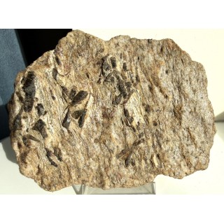 Staurolit na kwarcycie z Głuchołaz