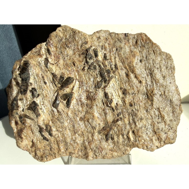 Staurolit na kwarcycie z Głuchołaz