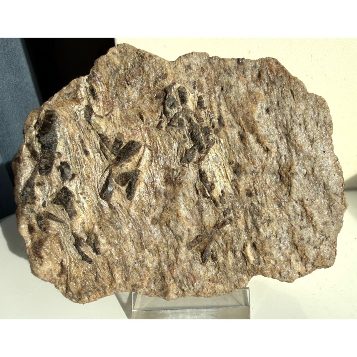 Staurolit na kwarcycie z Głuchołaz