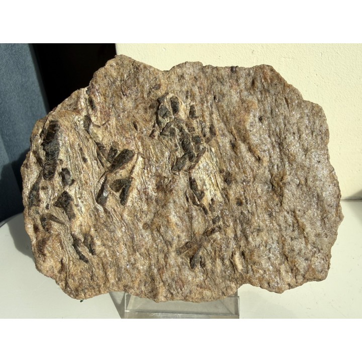 Staurolit na kwarcycie z Głuchołaz