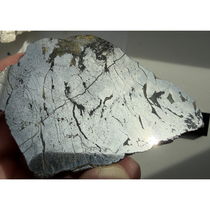 Piękny okaz lellingitu/arsenopirytu ze Złotego Stoku