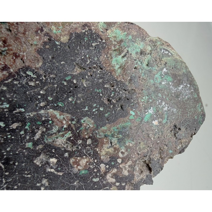 Miedź rodzima w melafirze migdałowcowym z Sokołowca w Górach Kaczawskich