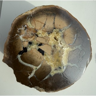 Septaria z okruszcowaniem sfalerytem z Częstochowy Gnaszyna