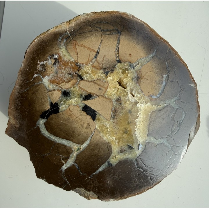 Septaria z okruszcowaniem sfalerytem z Częstochowy Gnaszyna