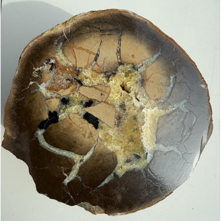 Septaria z okruszcowaniem sfalerytem z Częstochowy Gnaszyna