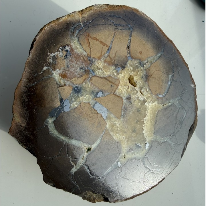 Septaria z okruszcowaniem sfalerytem z Częstochowy Gnaszyna