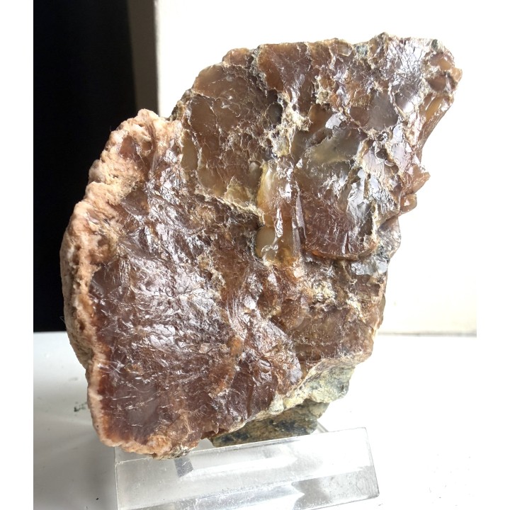 Miodowy opal z Nasławic k. Wrocławia