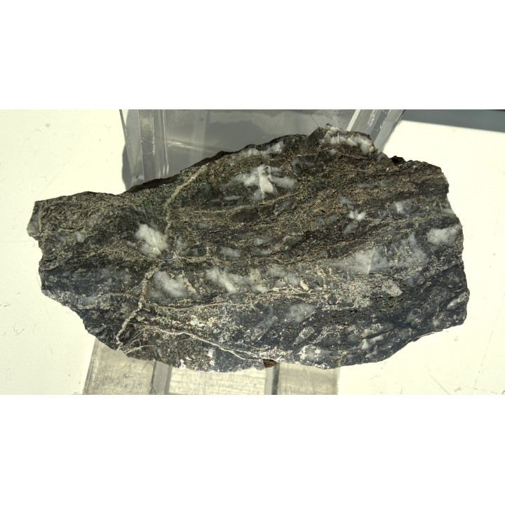 Piryt ze sztolni Aurelia w Złotoryi