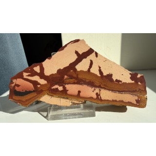 Pseudojaspis pejzażowy z Trójgarbu