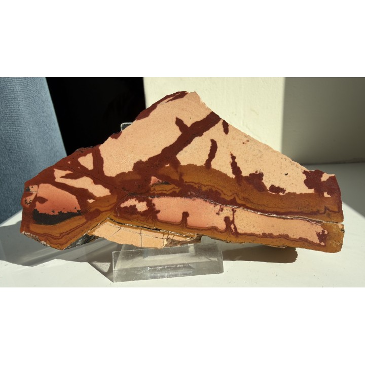 Pseudojaspis pejzażowy z Trójgarbu