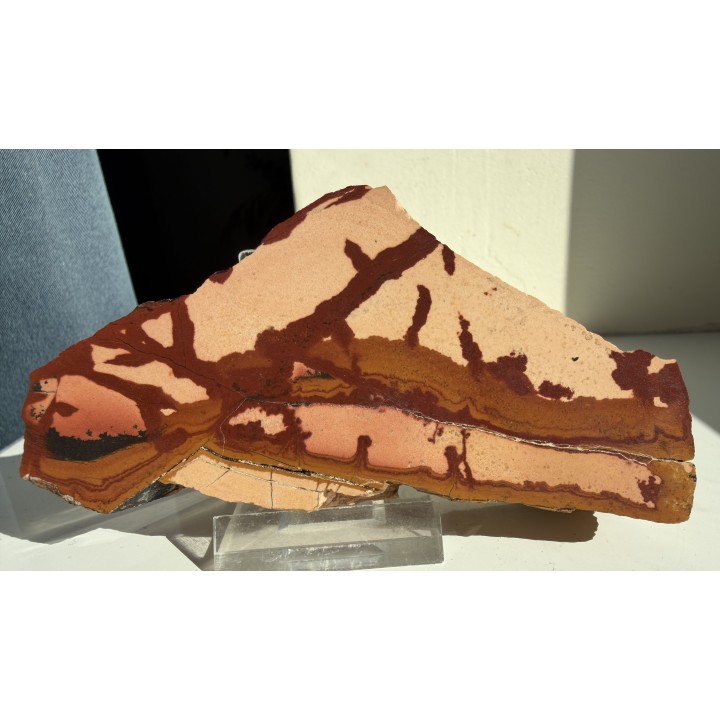 Pseudojaspis pejzażowy z Trójgarbu