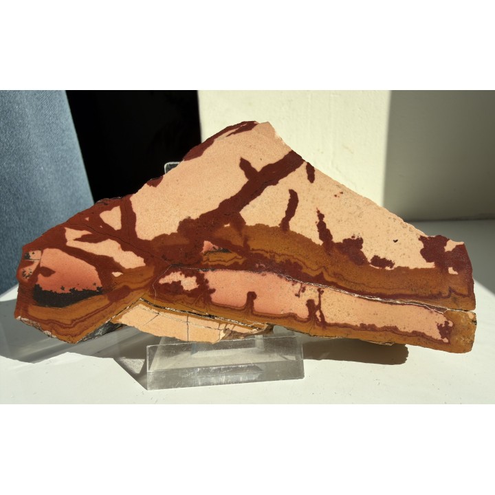 Pseudojaspis pejzażowy z Trójgarbu