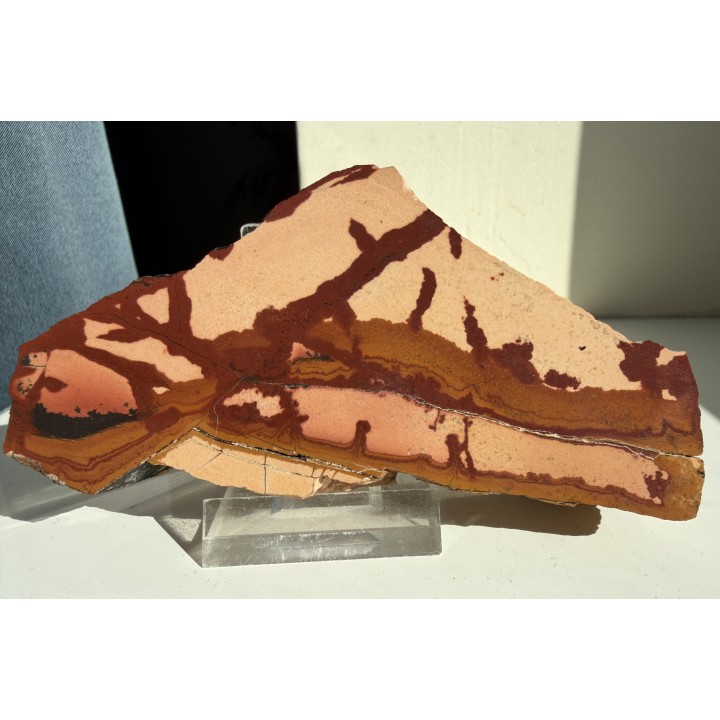 Pseudojaspis pejzażowy z Trójgarbu