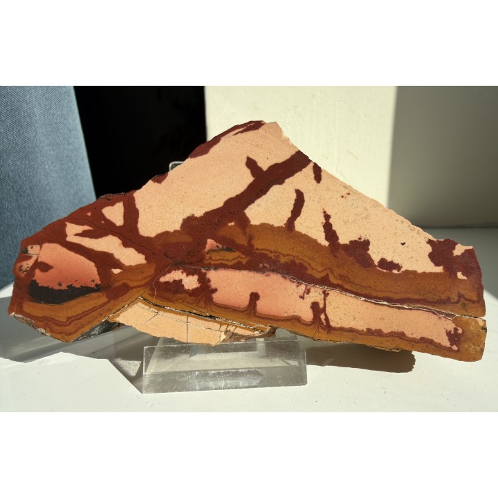 Pseudojaspis pejzażowy z Trójgarbu