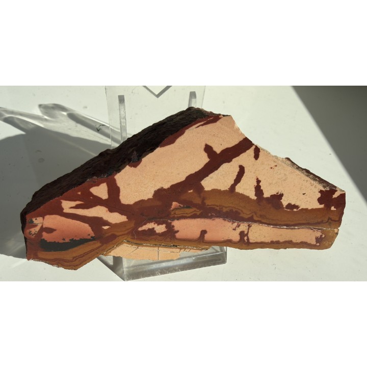 Pseudojaspis pejzażowy z Trójgarbu