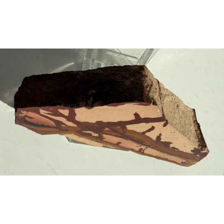 Pseudojaspis pejzażowy z Trójgarbu