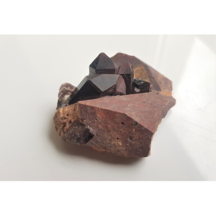 Moriony na skaleniu z Karkonoszy