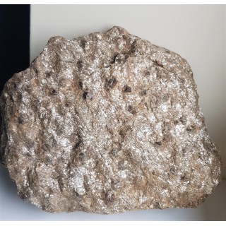 Duża płyta łupku łyszczykowego z granatami