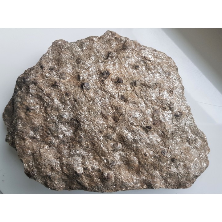 Duża płyta łupku łyszczykowego z granatami