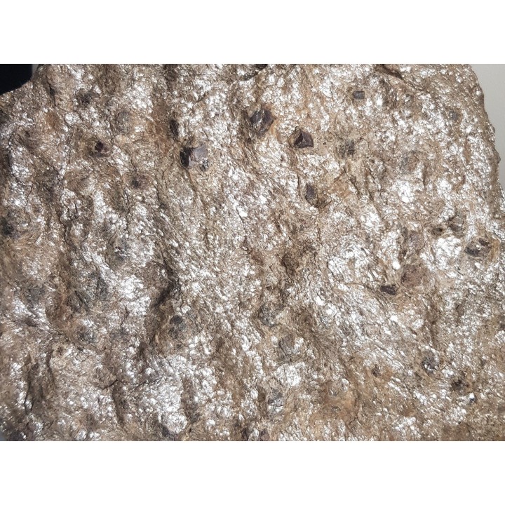 Duża płyta łupku łyszczykowego z granatami