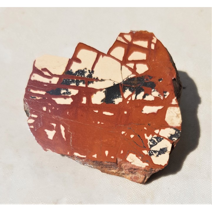 Pseudojaspis pejzażowy z Sudetów