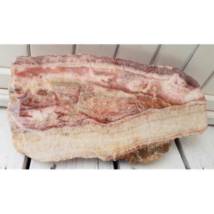 Duża płyta polerowanej różanki zelejowskiej