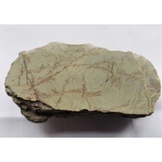 Polerowany łupek niebieski z olistostromy Jędrzychowic