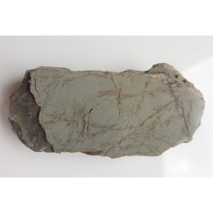 Polerowany łupek niebieski z olistostromy Jędrzychowic