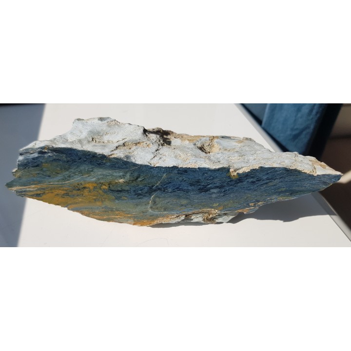 Rodusyt z Kazachstanu