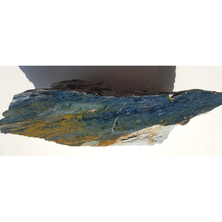 Rodusyt z Kazachstanu