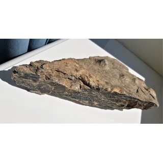 Polerowana płyta łupku z wielkimi granatami