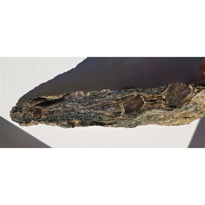 Polerowana płyta łupku z wielkimi granatami