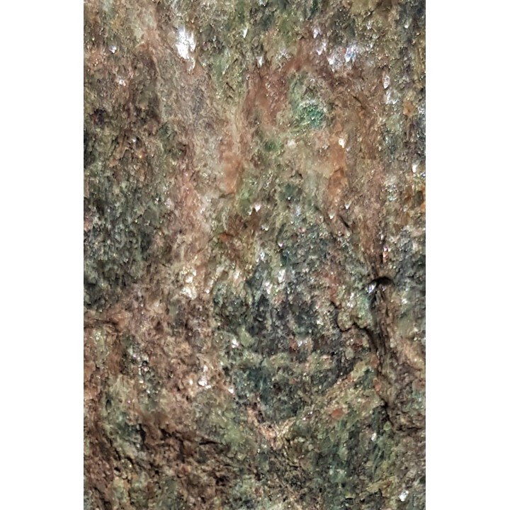 Omfacyt w eklogicie z Jaworka Górnego k. Międzygórza